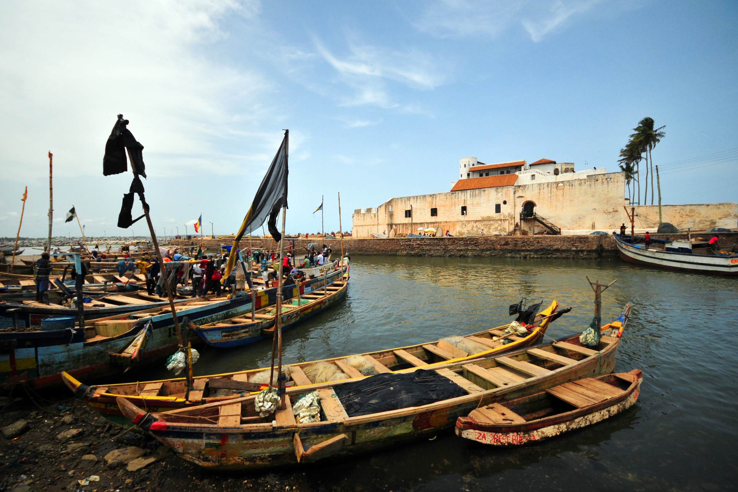 elmina (2).webp